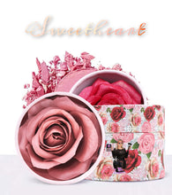 Load image into Gallery viewer, 3D Rose Blush